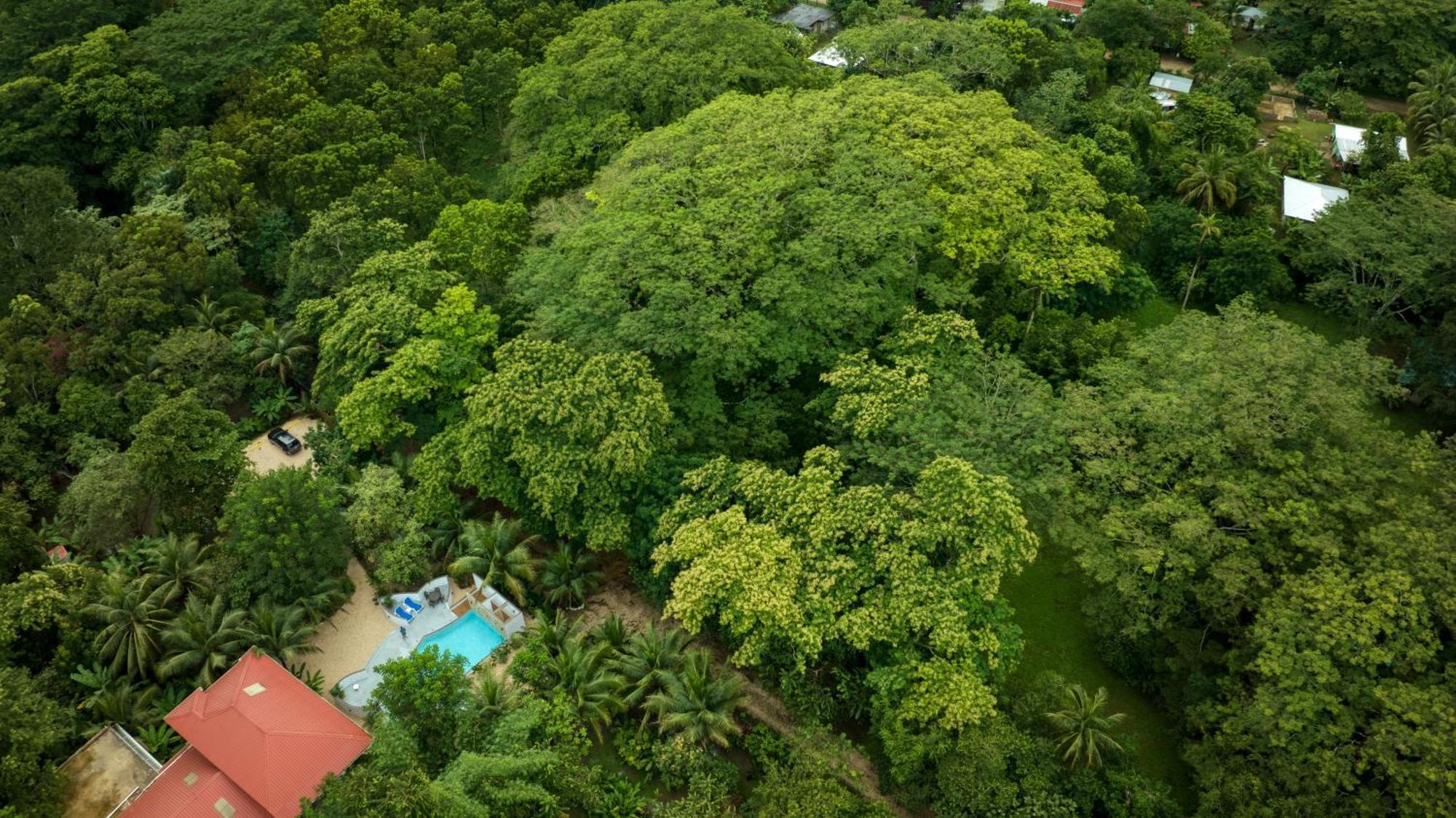 Villa Massis Luxury Villas San Ignacio Exterior foto